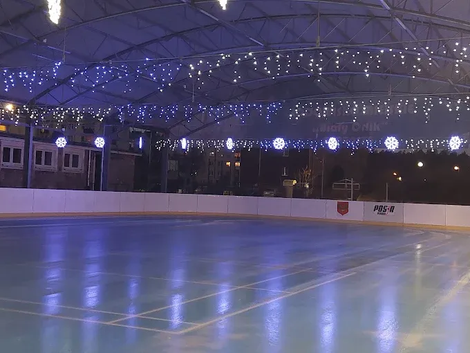 Lodowisko sztuczne Biały Orlik