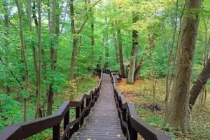 Ścieżka Przyrodniczo-Historyczna "Kadyński Las"