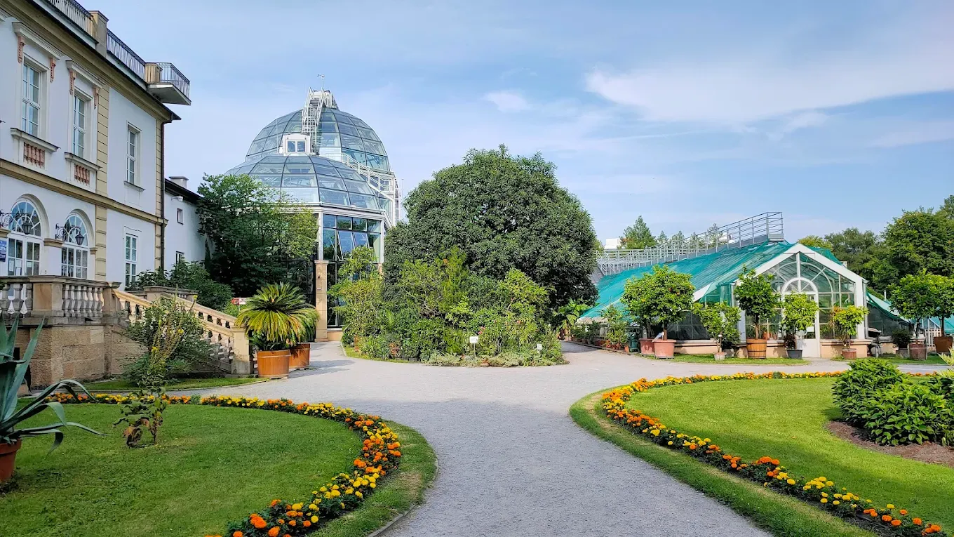 Ogród Botaniczny Uniwersytetu Jagiellońskiego - zdjęcie główne