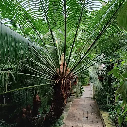 Ogród Botaniczny Uniwersytetu Warszawskiego