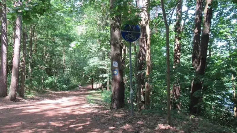 Ścieżka nad Jeziorem Ukiel