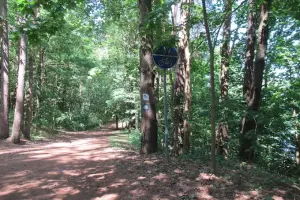 Ścieżka nad Jeziorem Ukiel