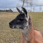 Stara Szkoła w Browinie Agroturystyka na Mazurach