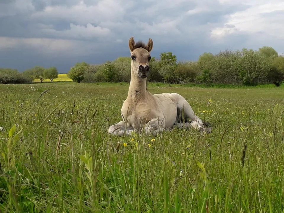 Agroturystyka pod Dwiema Tęczami, Bejnarowicz Anna