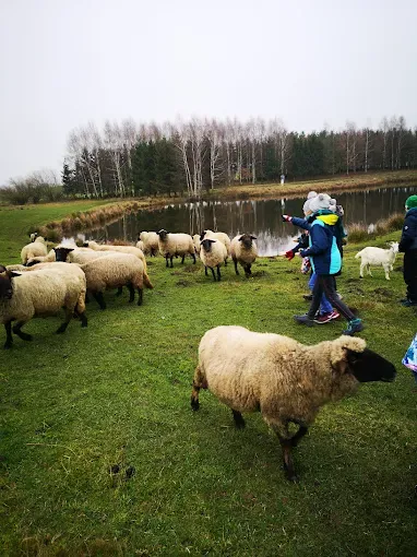 Gospodarstwo Agroturystyczne Agro-Raj