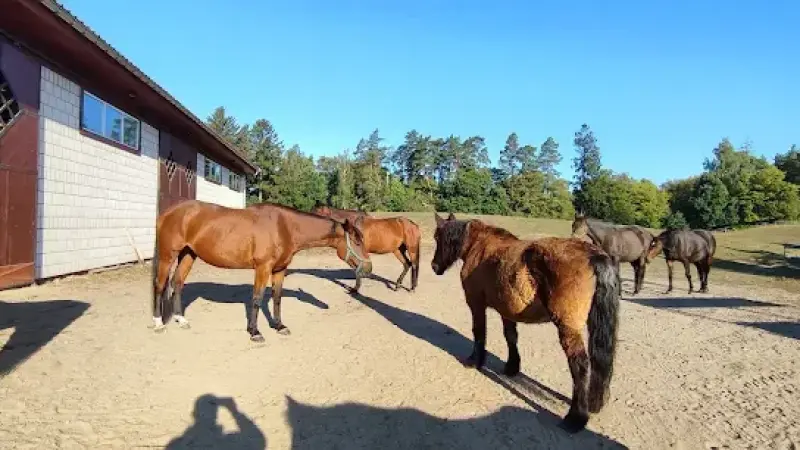Leśne Jezioro. Gospodarstwo agroturystyczne