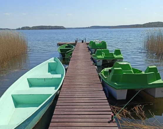 Agroturystyka u Bartnika