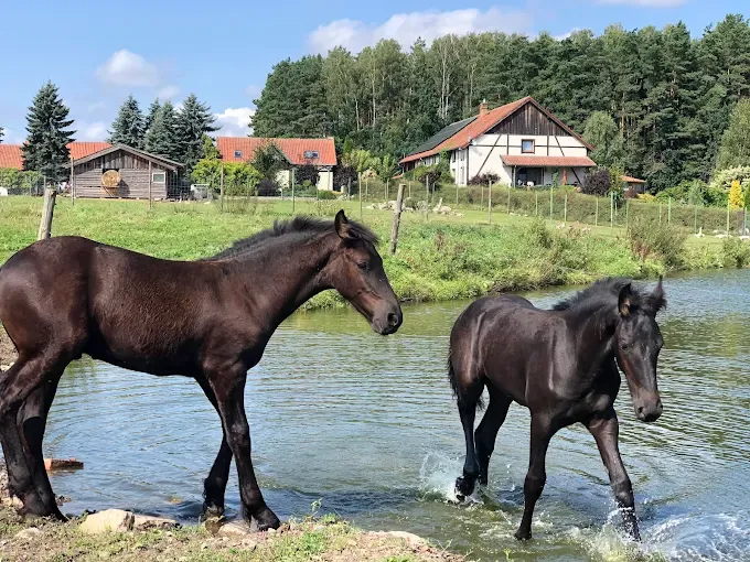 Gospodarstwo agroturystyczne Janczary