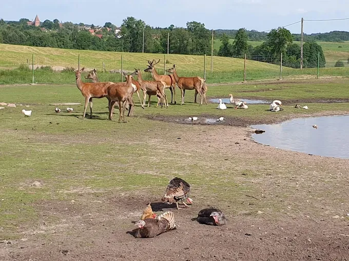 Gospodarstwo agroturystyczne Janczary