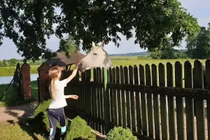 Gospodarstwo agroturystyczne Janczary