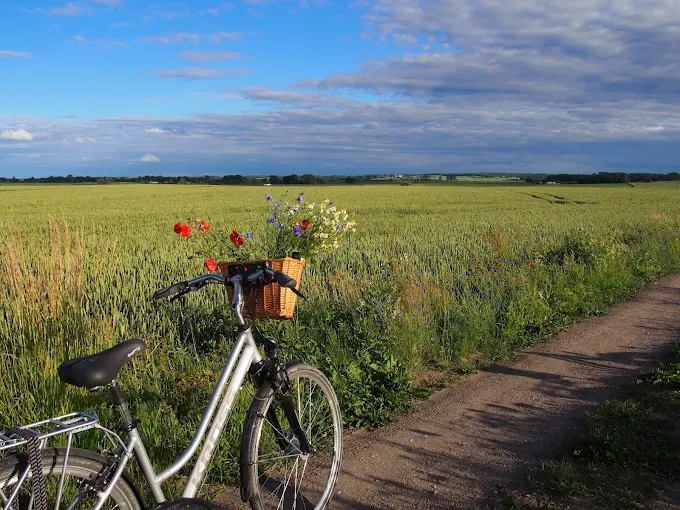 Agroturystyka Lolkowo