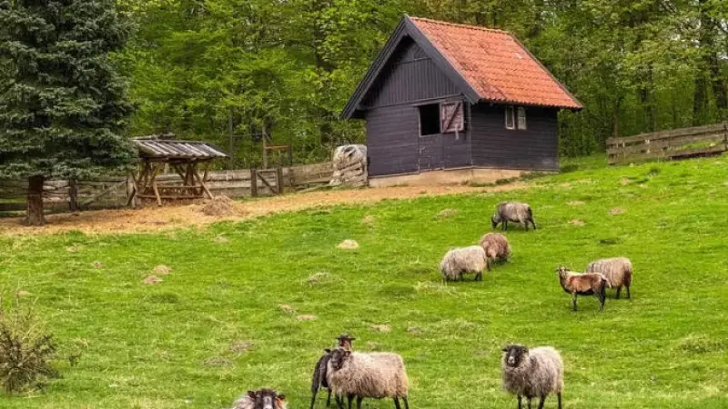 Siedlisko na Wygonie