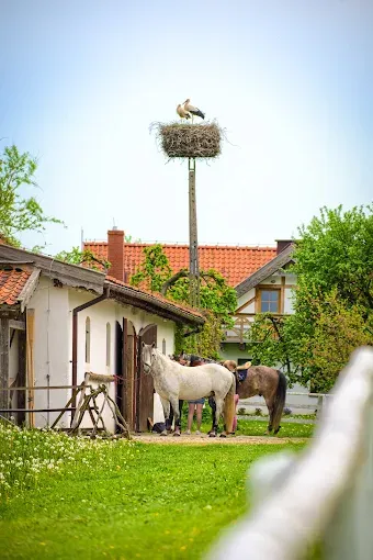 Siedlisko Nawiady Mazury Noclegi