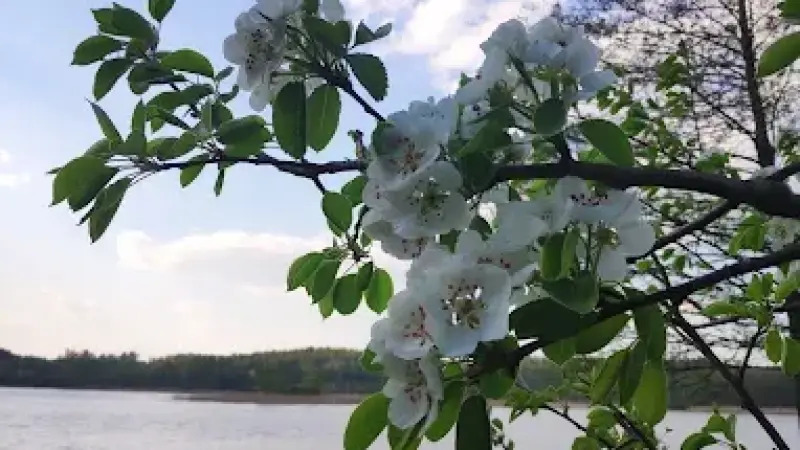 Domki Mazury