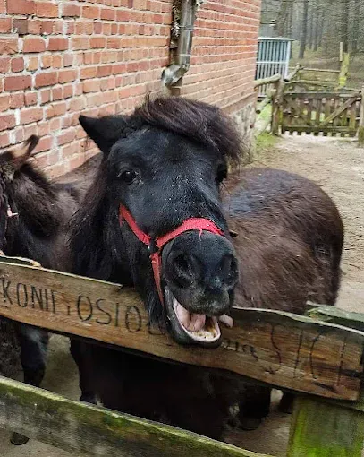 Leśniczówka Jednorożec