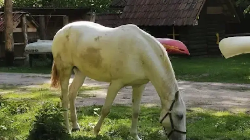 Leśniczówka Jednorożec