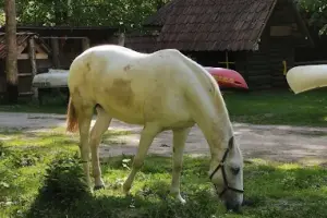 Leśniczówka Jednorożec