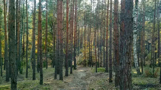 Wjazd na trasę MTB