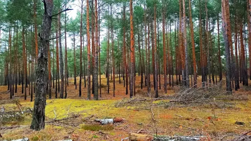 Górka na MTB