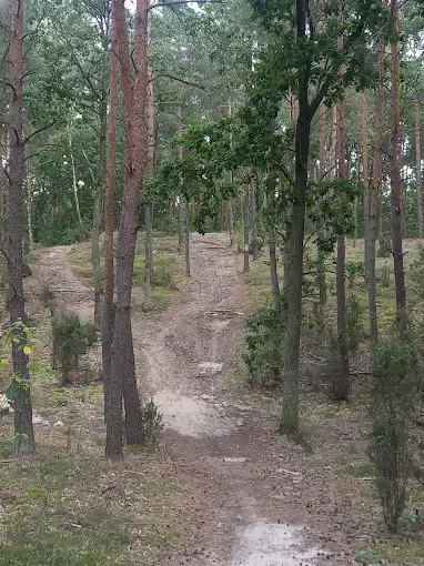 Wieliszewska Trasa Crossowa