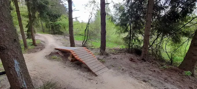 Singletrack Bagno Pulwy