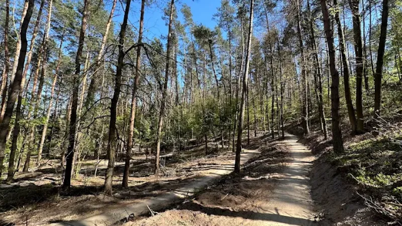 Singletrack Bagno Pulwy