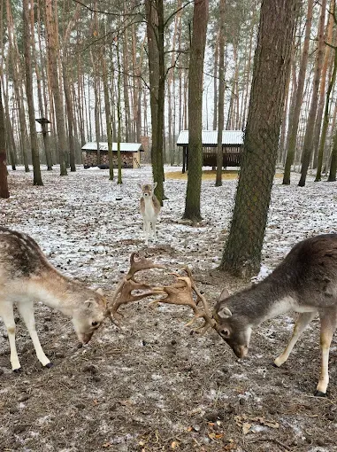 Malowana Zagroda edukacja i rekreacja