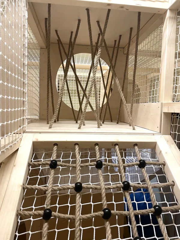 Kluboksięgarnia i sala zabaw Tęczowa Sowa - urodziny i zajęcia dla dzieci