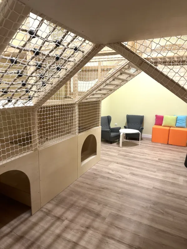 Kluboksięgarnia i sala zabaw Tęczowa Sowa - urodziny i zajęcia dla dzieci