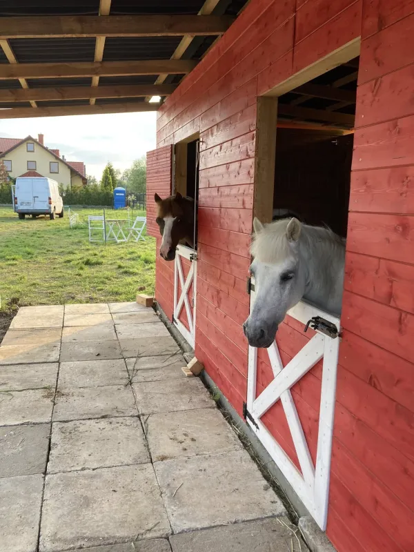 Pony Club Kucykowe Ranczo