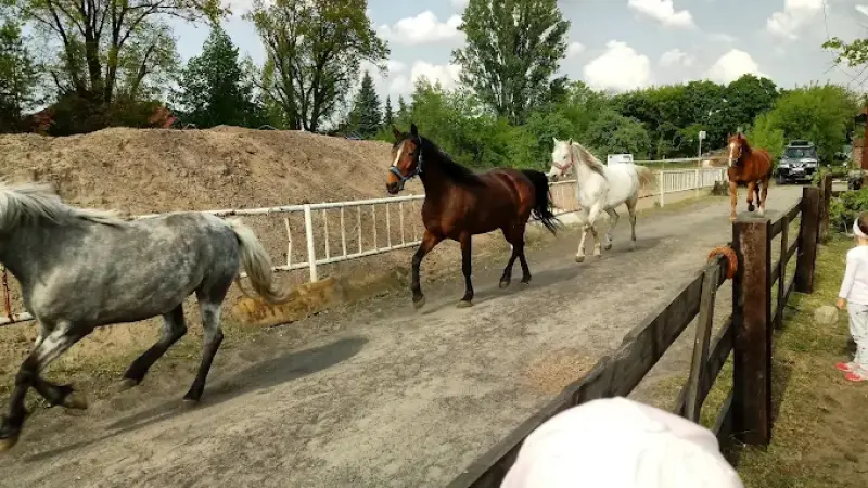 Stajnia Trybułowo Na Nowo