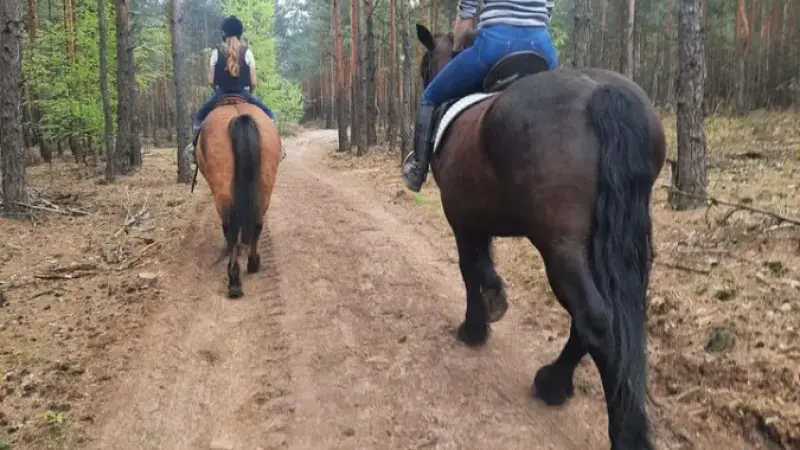 Stajnia Miłosna