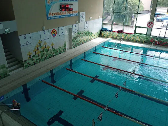Pływalnia Pingwin