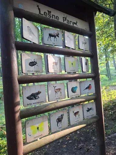 Leśne Arboretum Warmii i Mazur