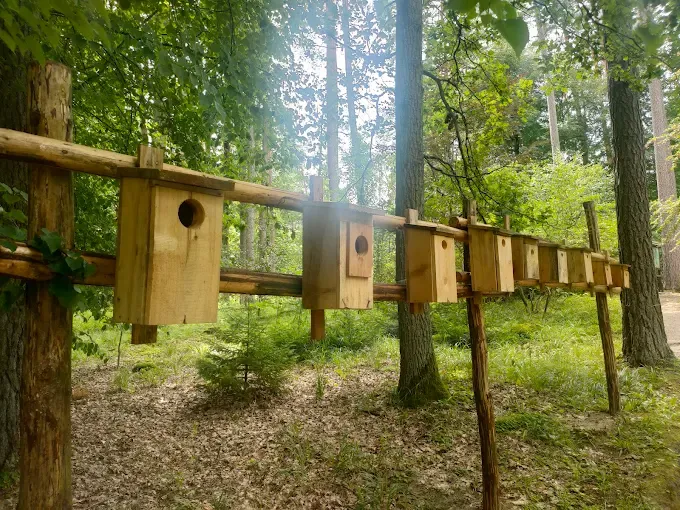 Leśne Arboretum Warmii i Mazur