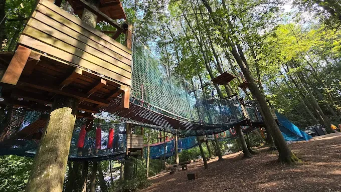 Park Linowy Wiewióra