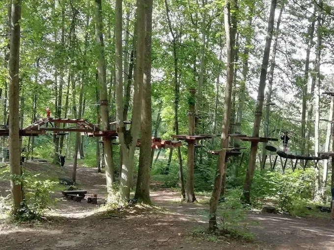 Park Linowy Wiewióra