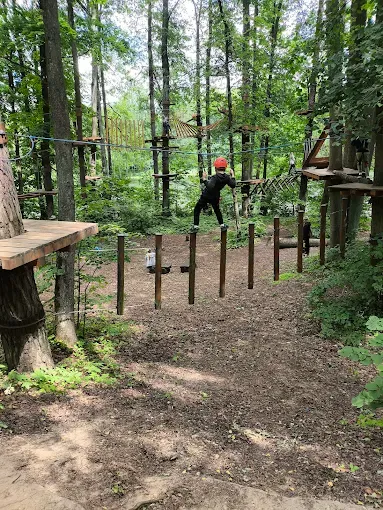 Park Linowy Wiewióra
