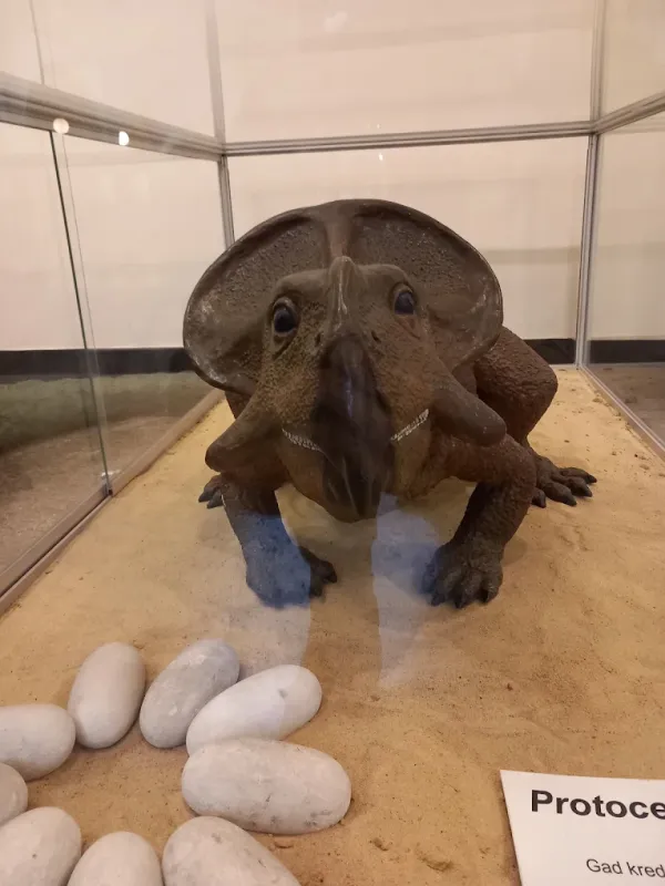 Muzeum Geologiczne WGGiOŚ AGH