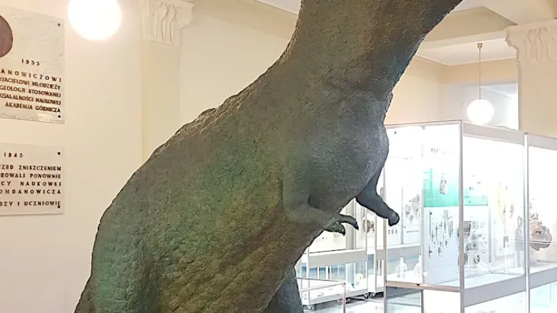 Muzeum Geologiczne WGGiOŚ AGH