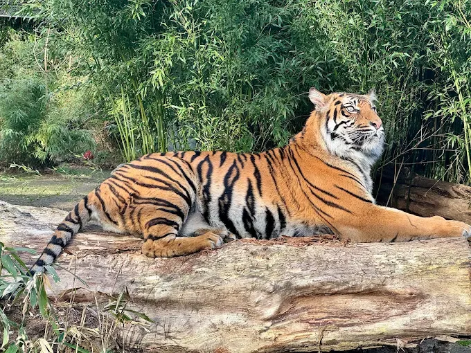 ZOO Wrocław