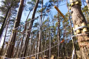 Ścieżka edukacyjna, plac Zabaw