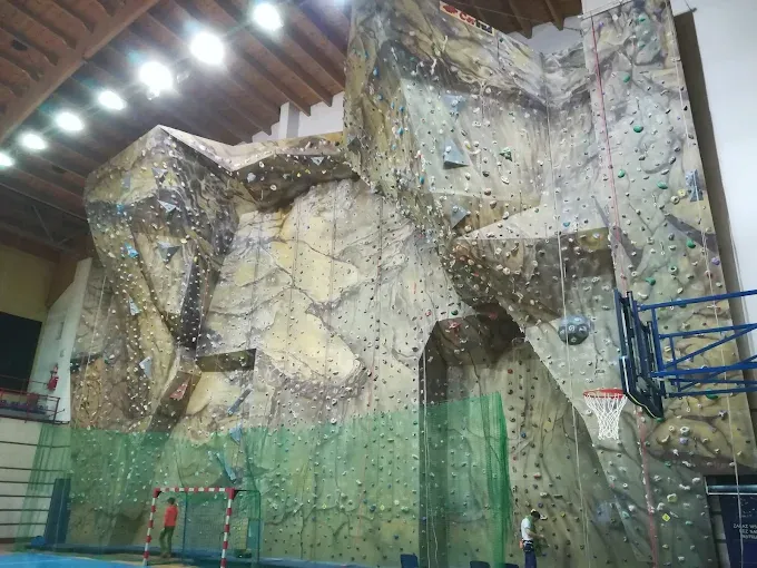 Ścianka wspinaczkowa przy Hali Widowiskowo - Sportowej
