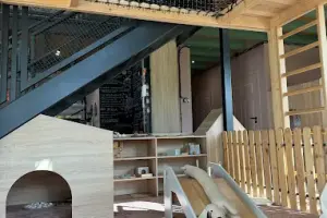 Dziupla naturalna bawialnia