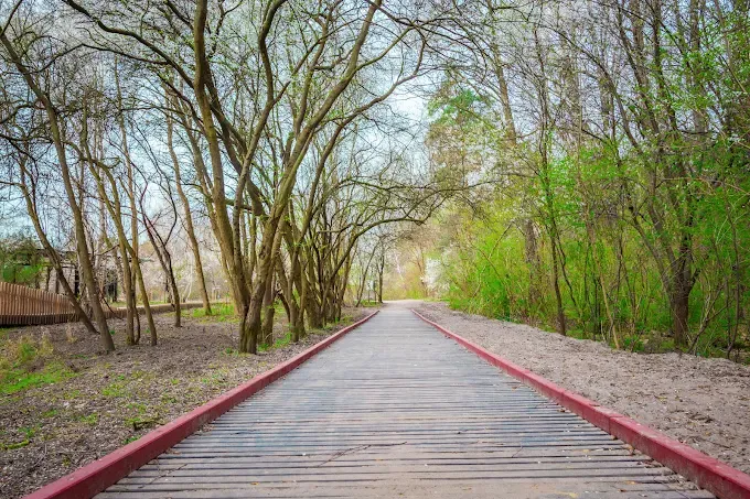 Park Aktywności Rodzinnej w Dzielnicy Wawer