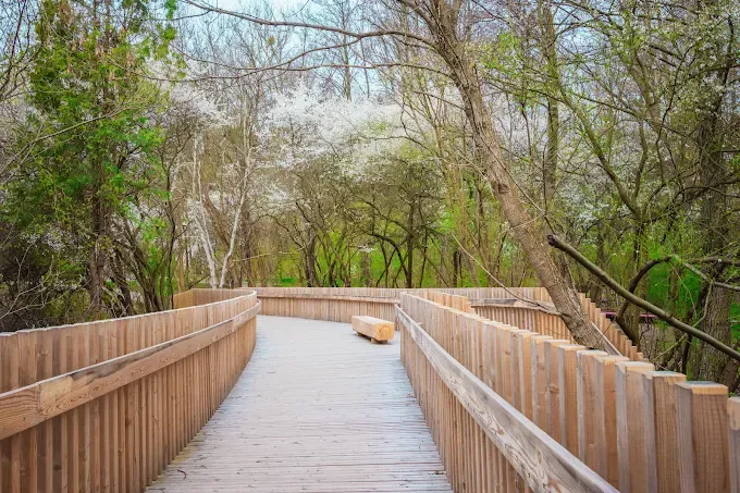 Park Aktywności Rodzinnej w Dzielnicy Wawer