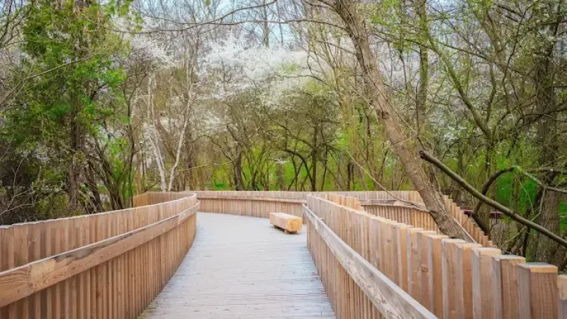 Park Aktywności Rodzinnej w Dzielnicy Wawer