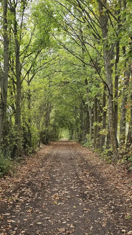 Kampinoski Park Narodowy