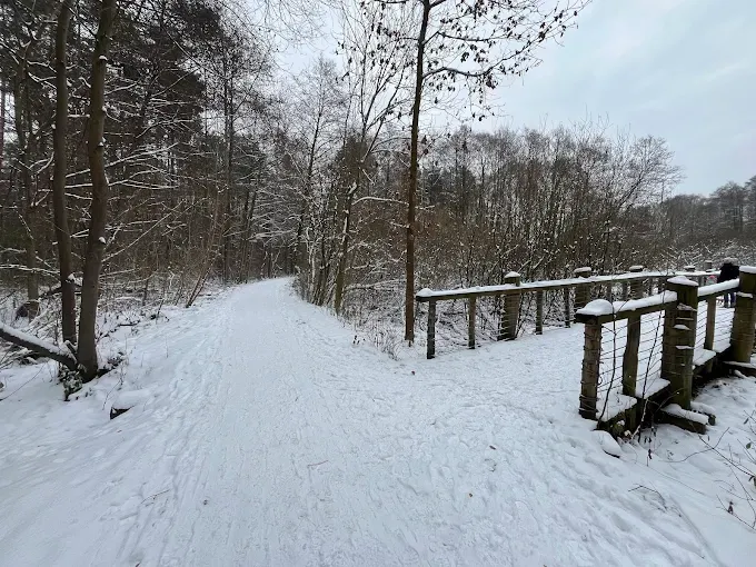 Rezerwat przyrody Łosiowe Błota