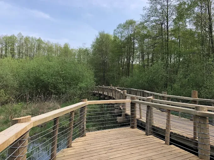 Rezerwat przyrody Łosiowe Błota